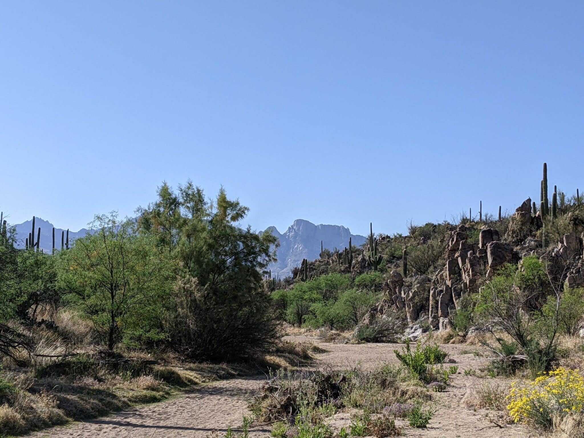 Honey Bee Canyon