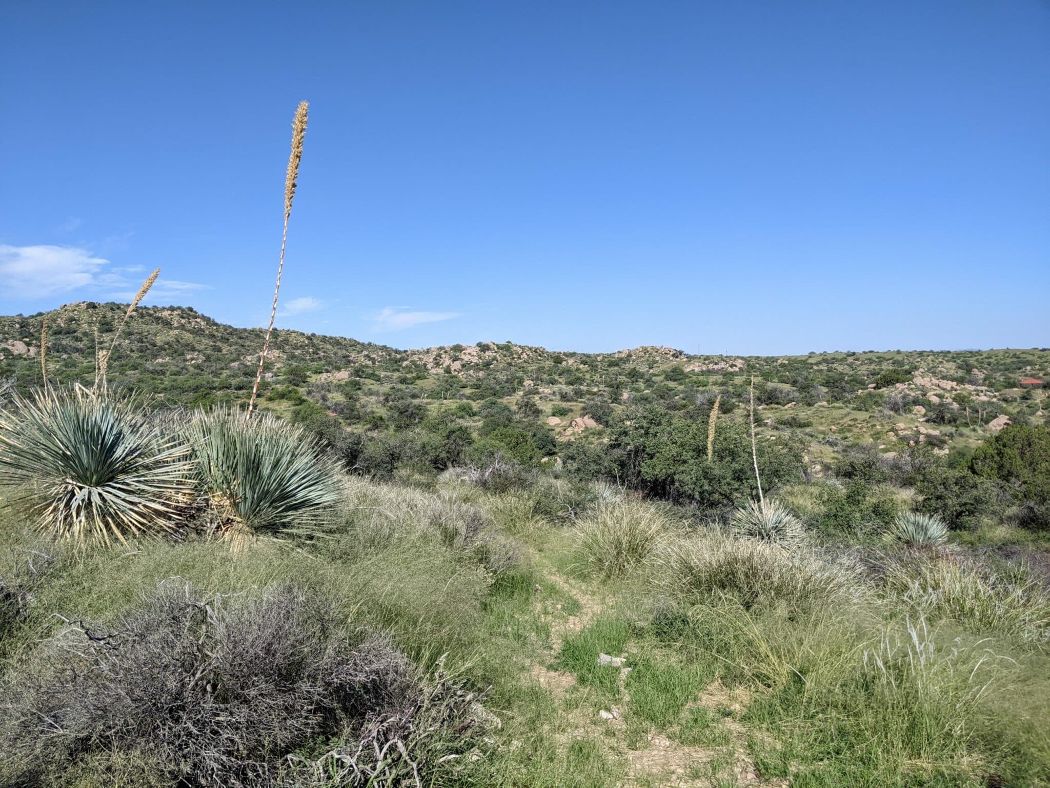 Oracle State Park