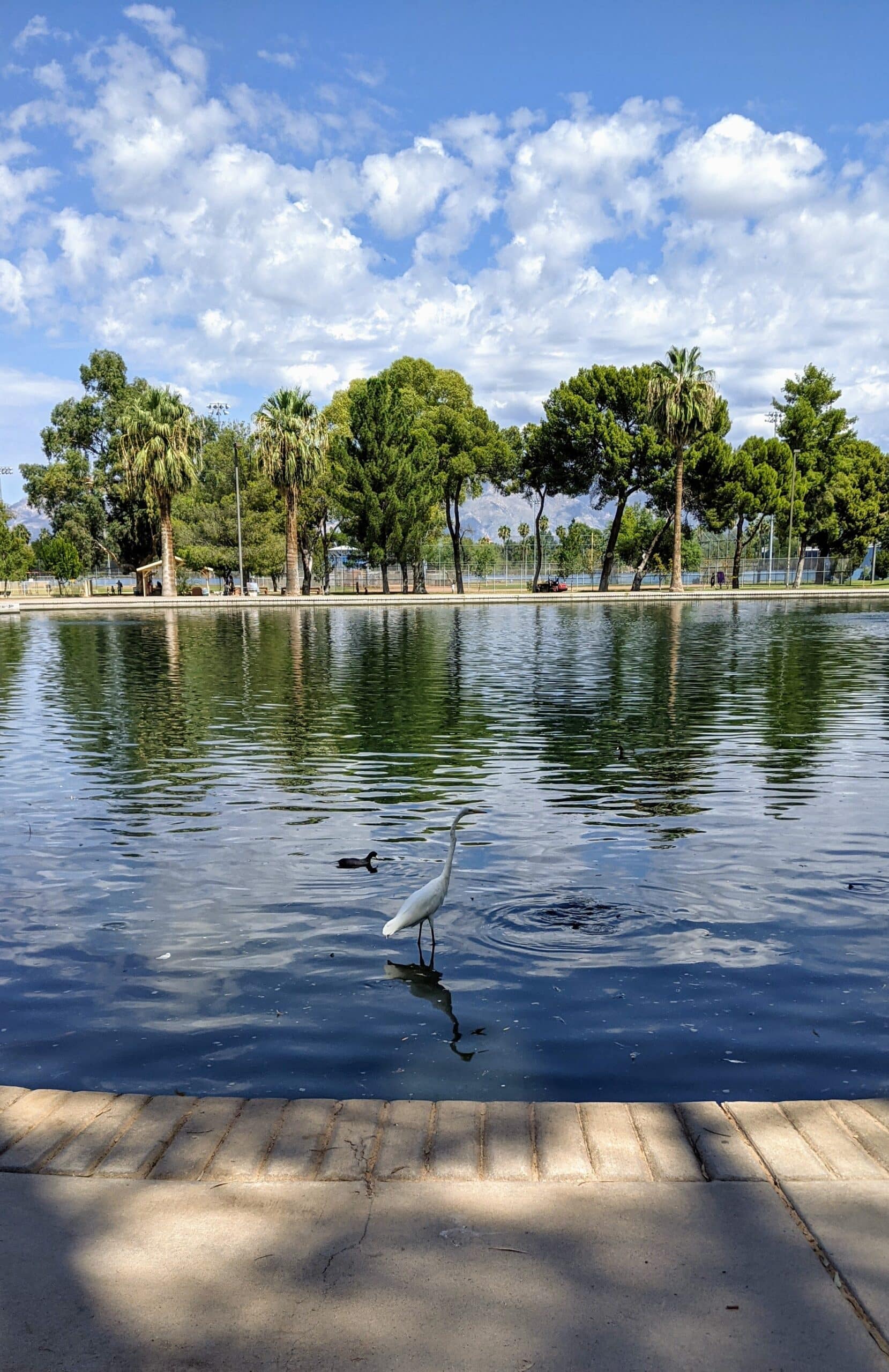 Reid Park