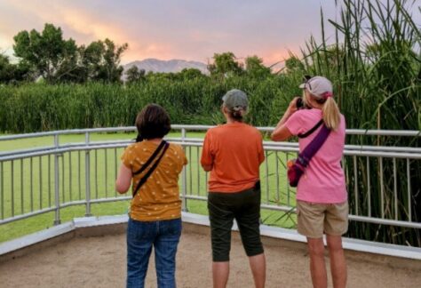 Birders at Sweetwater Wetlands