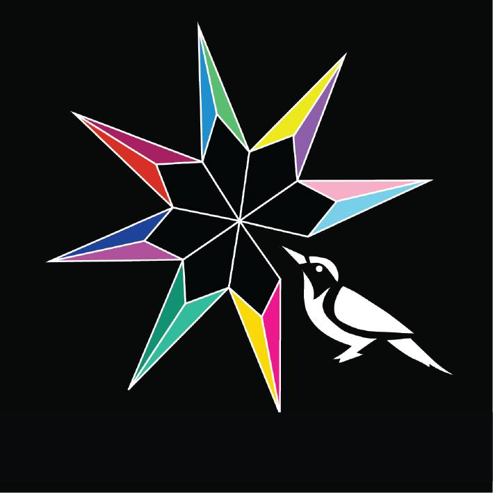 Spark Bird Project